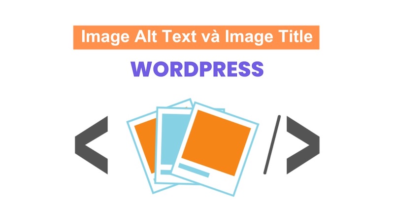 Alt Text và Title Image khác nhau về vai trò và cách dùng