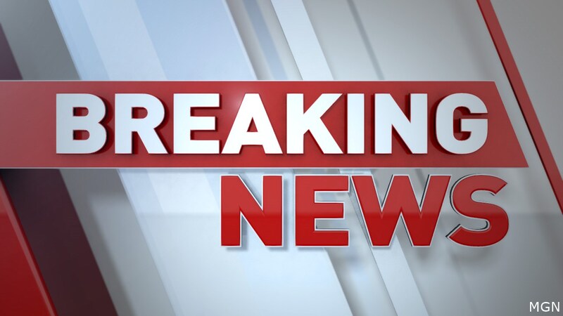 Link bait là gì? Các thủ thuật tiếp cận link bait hiệu quả