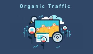 Muốn làm tăng Organic Traffic thì cần đảm bảo bài viết đã được index