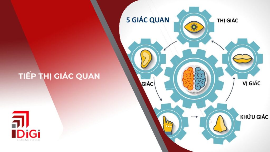 Tiếp thị giác quan - Tầm quan trọng trong marketing