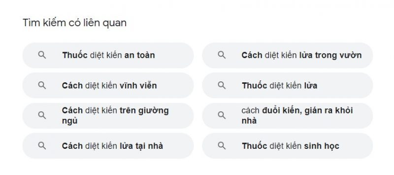 TOP 9+ mẹo trong SEO hữu ích cho website mới