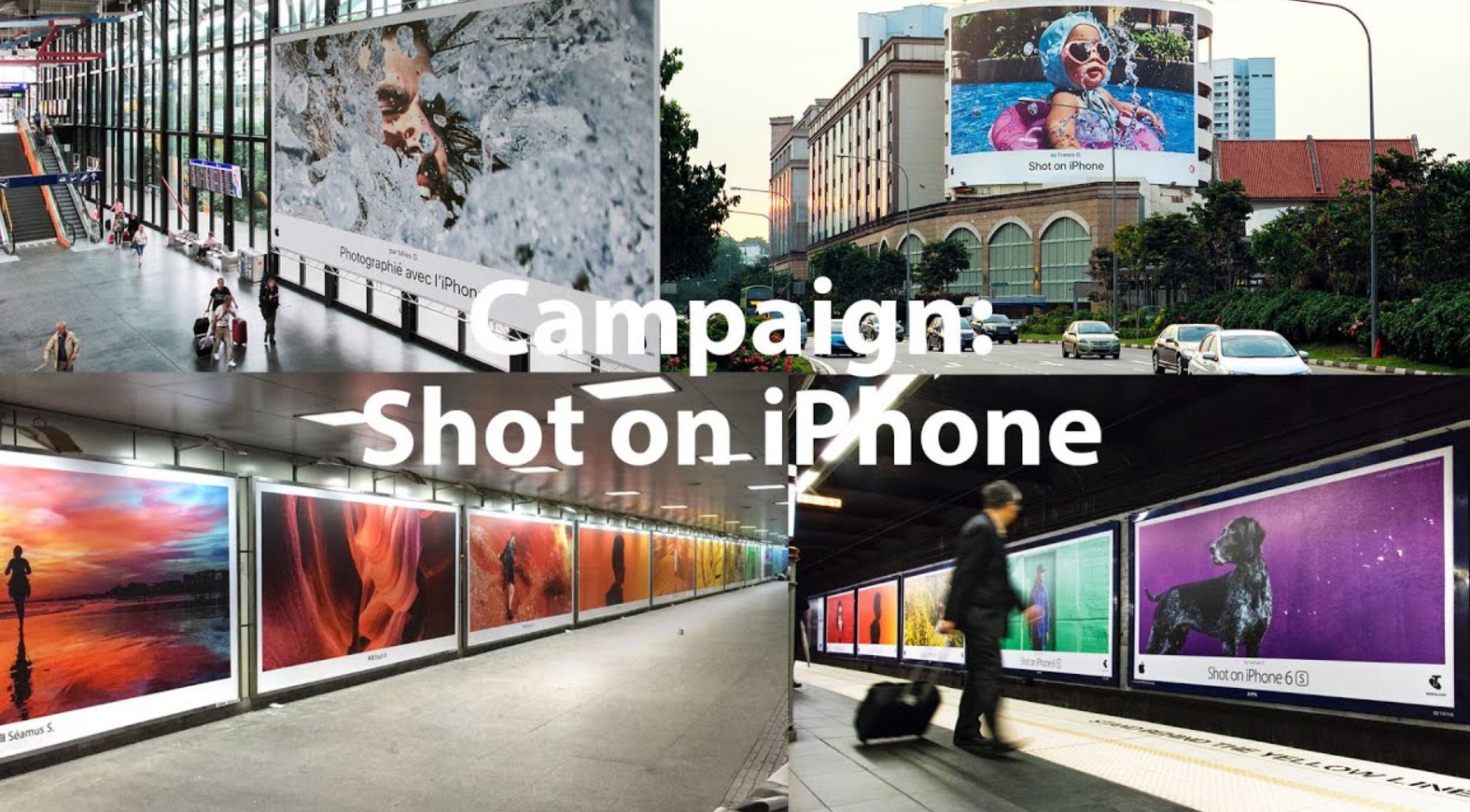 Có 5 bước cơ bản để tạo một chiến dịch digital marketing hiệu quả